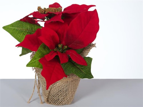 Künstlicher weihnachtsstern - künstlicher,