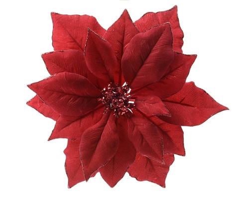 Weihnachtsstern blume auf clip - weihnachtsstern,