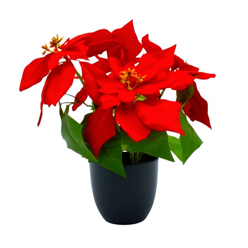 Künstlicher weihnachtsstern - künstlicher,