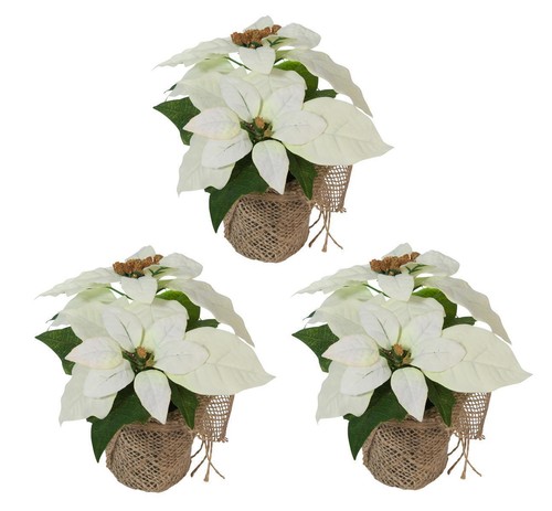 Künstlicher weihnachtsstern - künstlicher,