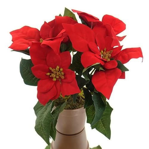 Kaemingk weihnachtsstern rot - weihnachtsstern,
