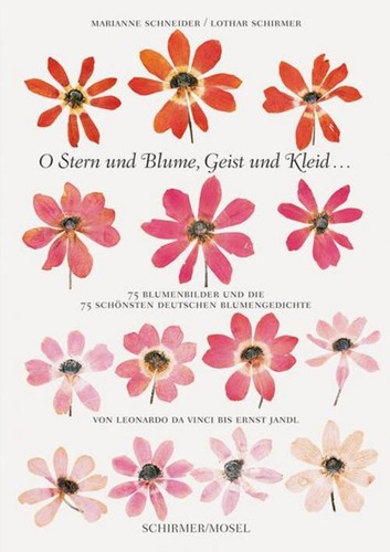 Stern und blume geist - blume,,
