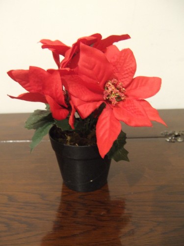Künstlicher weihnachtsstern - künstlicher,