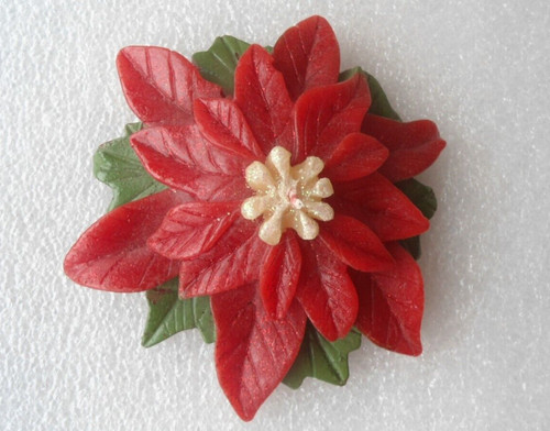 Weihnachtsstern blume - weihnachtsstern,
