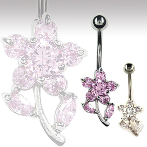 Stern blume bauchnabel - blume,