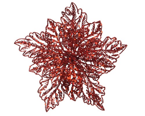 Weihnachtsstern blume auf clip - weihnachtsstern,