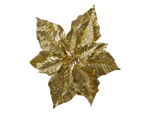 Weihnachtsstern blume auf - auf, clip