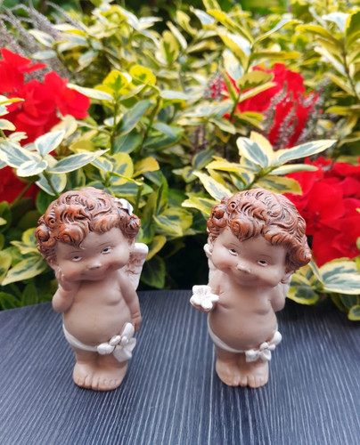 Engel blume stern - blume,