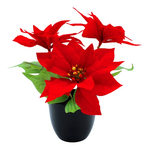 Künstlicher weihnachtsstern - künstlicher,