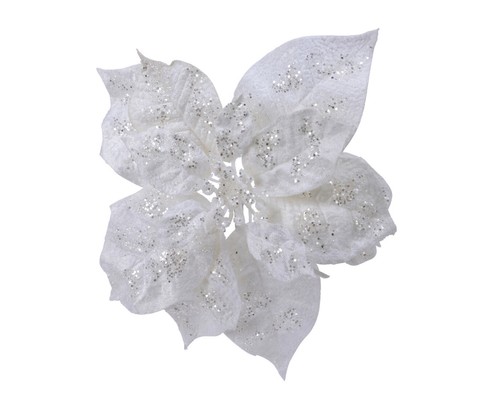 Weihnachtsstern blume auf clip - weihnachtsstern,