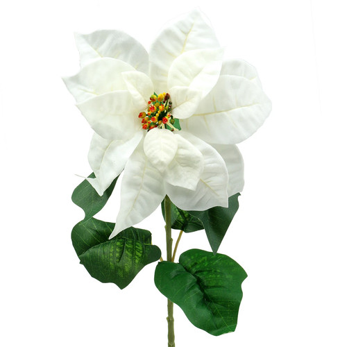 Weihnachtsstern deko blume - weihnachtsstern, deko-blume