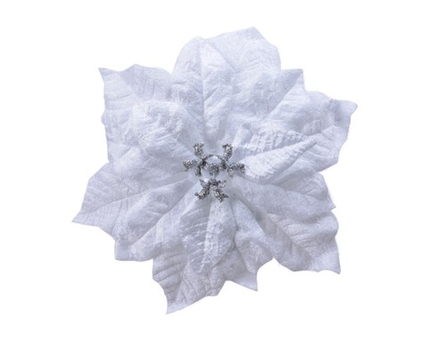 Weihnachtsstern blume auf clip - blume,