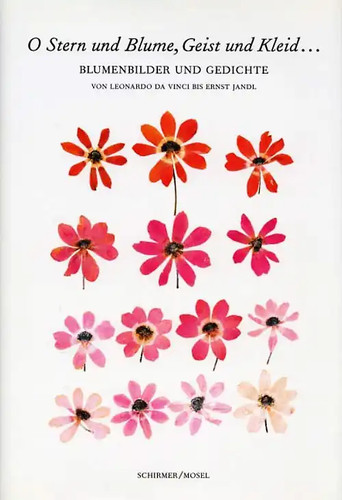 Stern und blume - o,